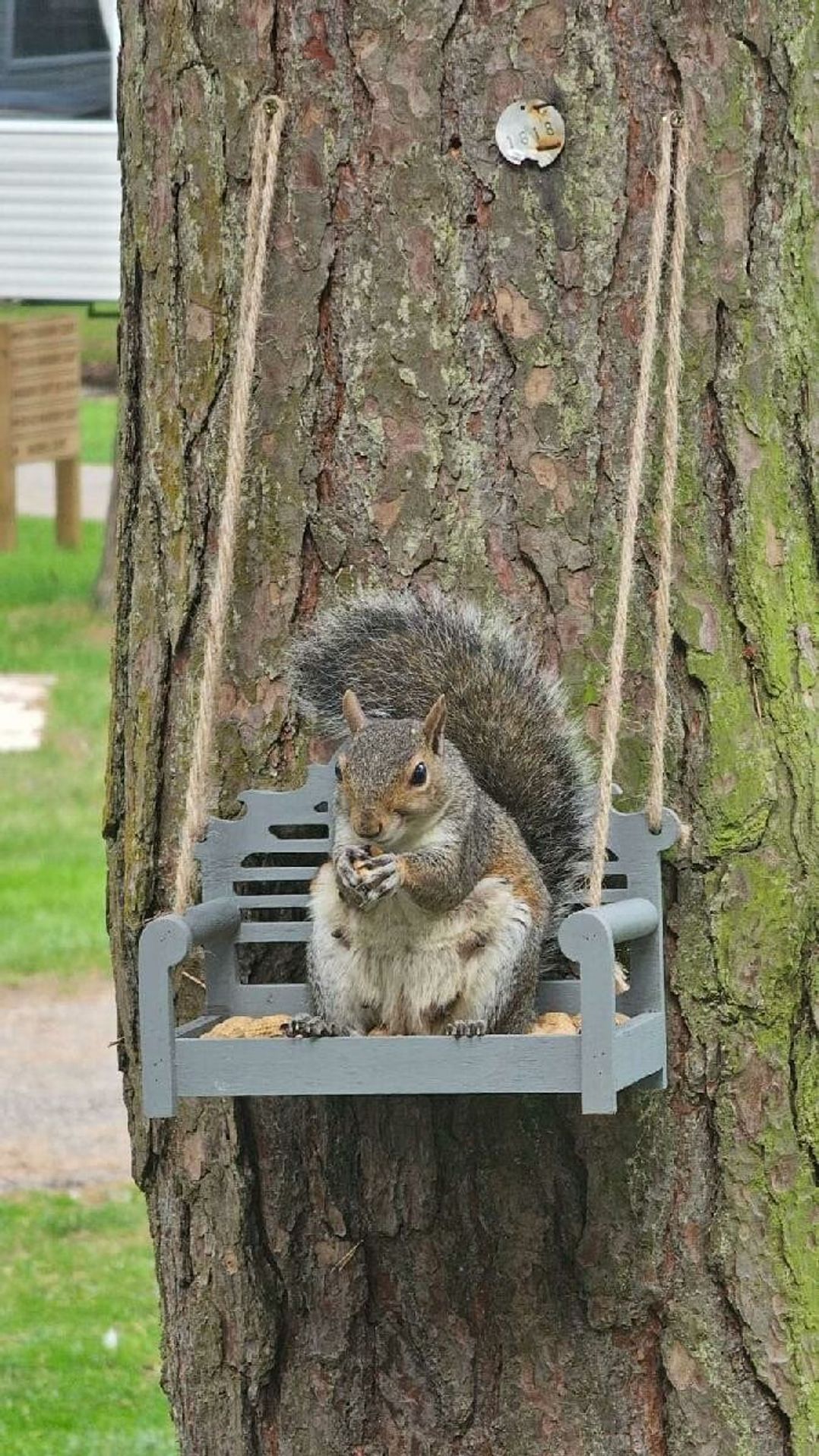 Wild Duck Holiday Park - Holiday Accommodation 18828