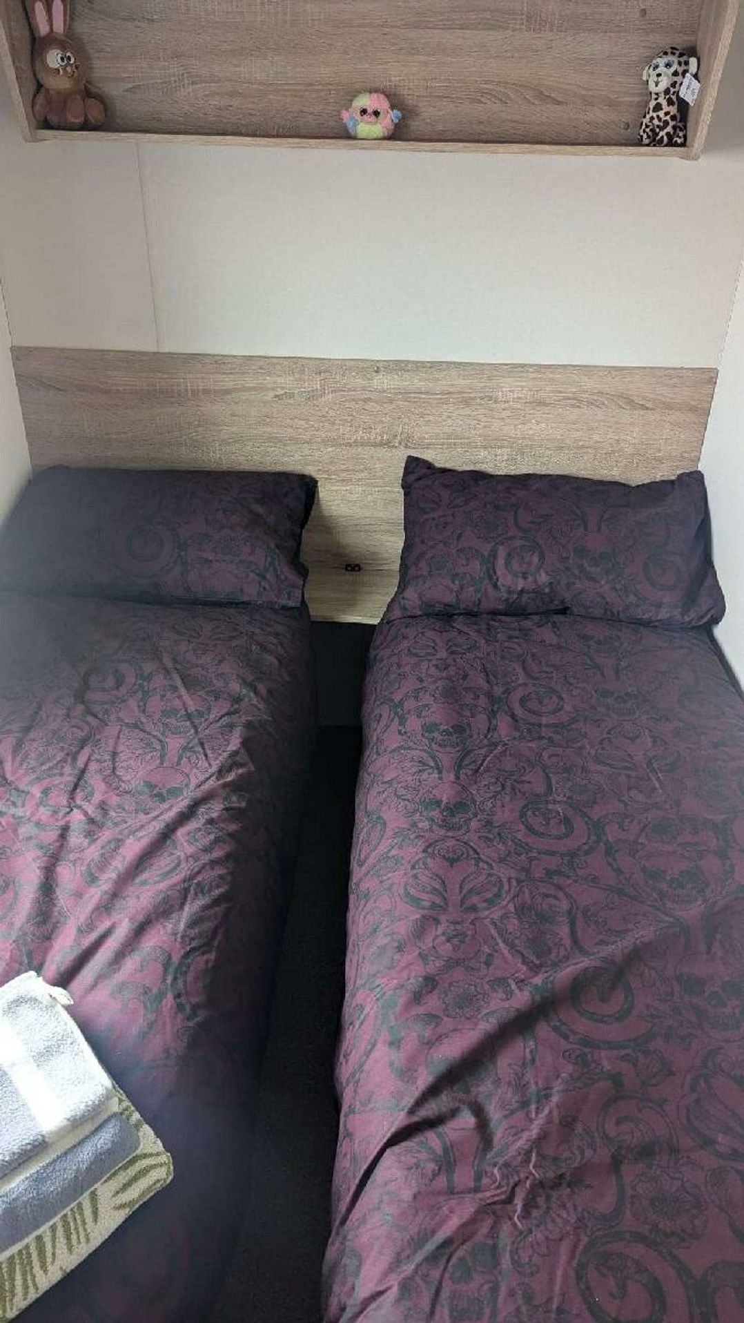 Seal Bay Resort - Holiday Accommodation 22333