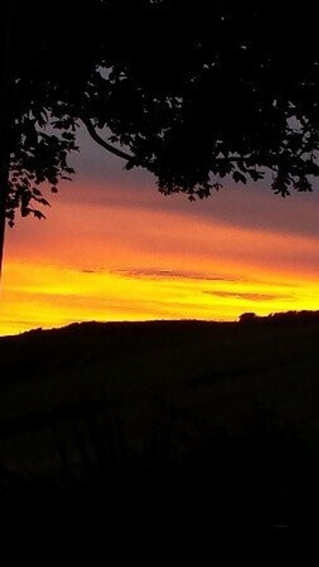 Durdle Door Holiday Park - Holiday Accommodation 622