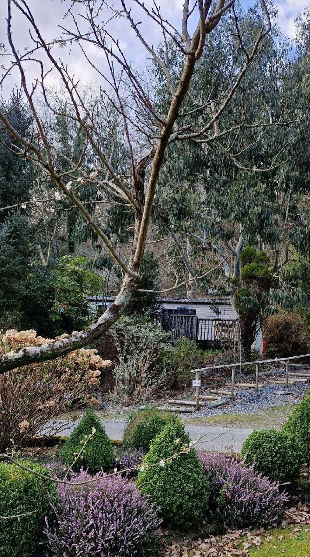 Aberdunant Hall Holiday Park - Holiday Accommodation 17100