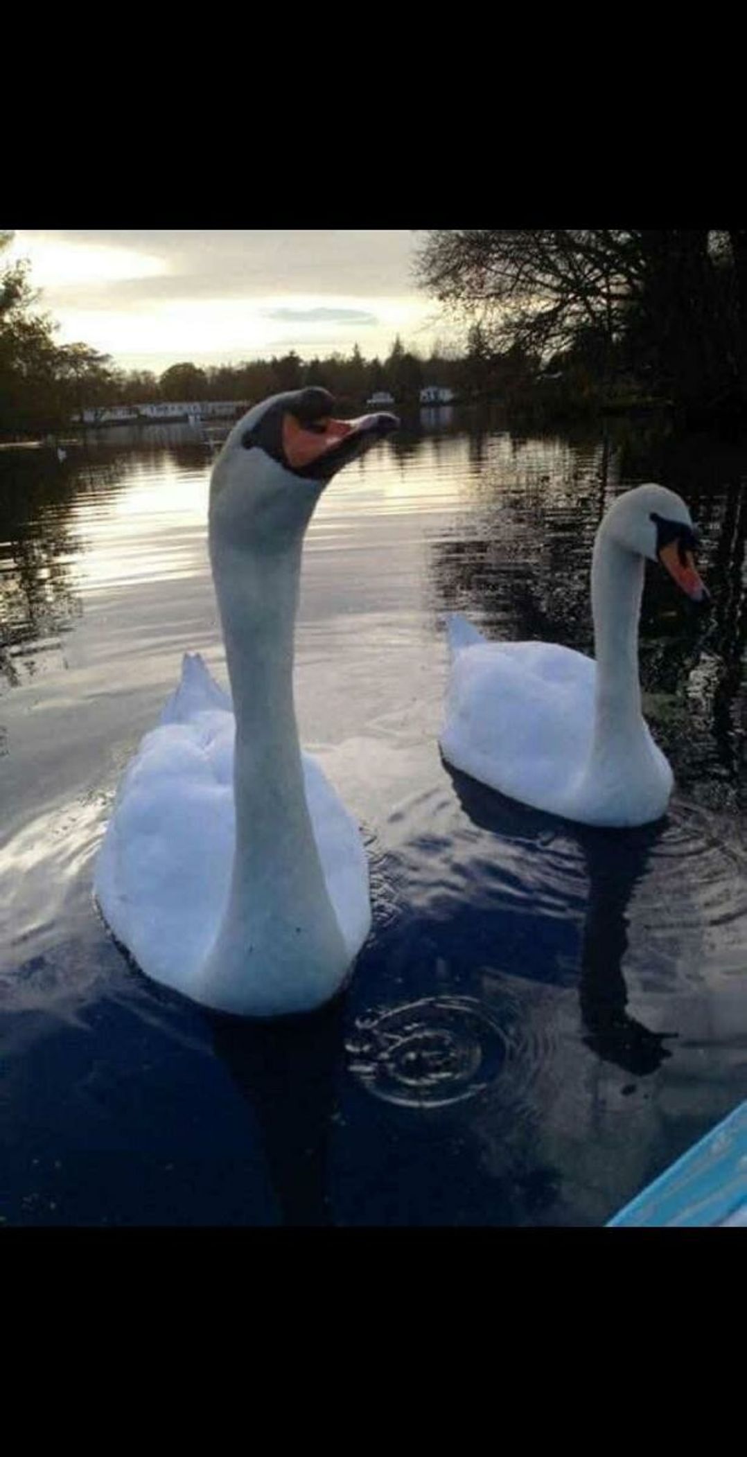 Haggerston Castle - Holiday Accommodation 21821