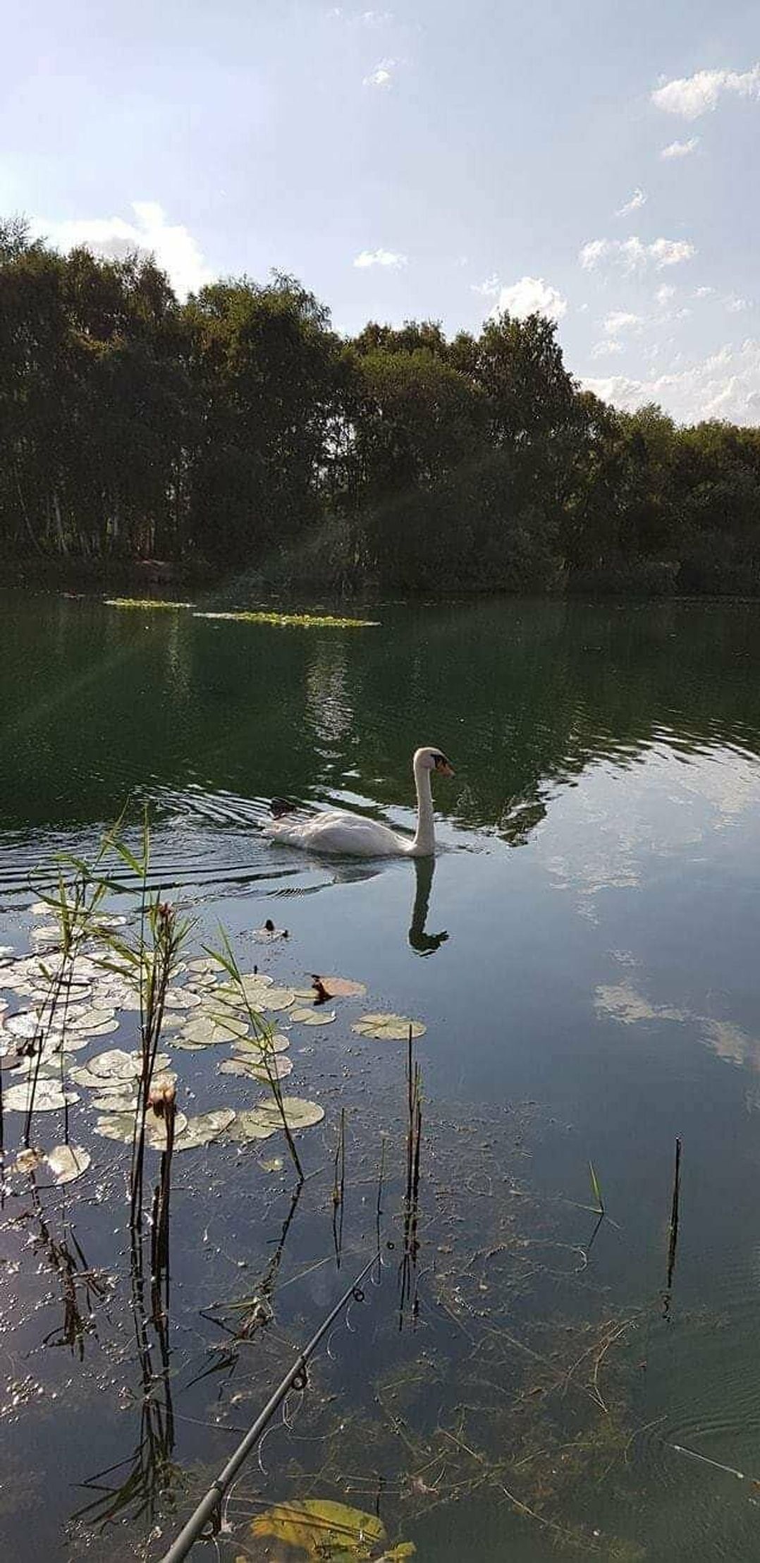 Tattershall Lakes Country Park - Holiday Accommodation 6778