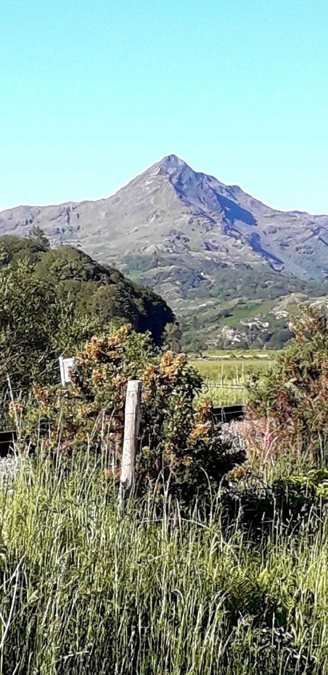 Aberdunant Hall Holiday Park - Holiday Accommodation 15557