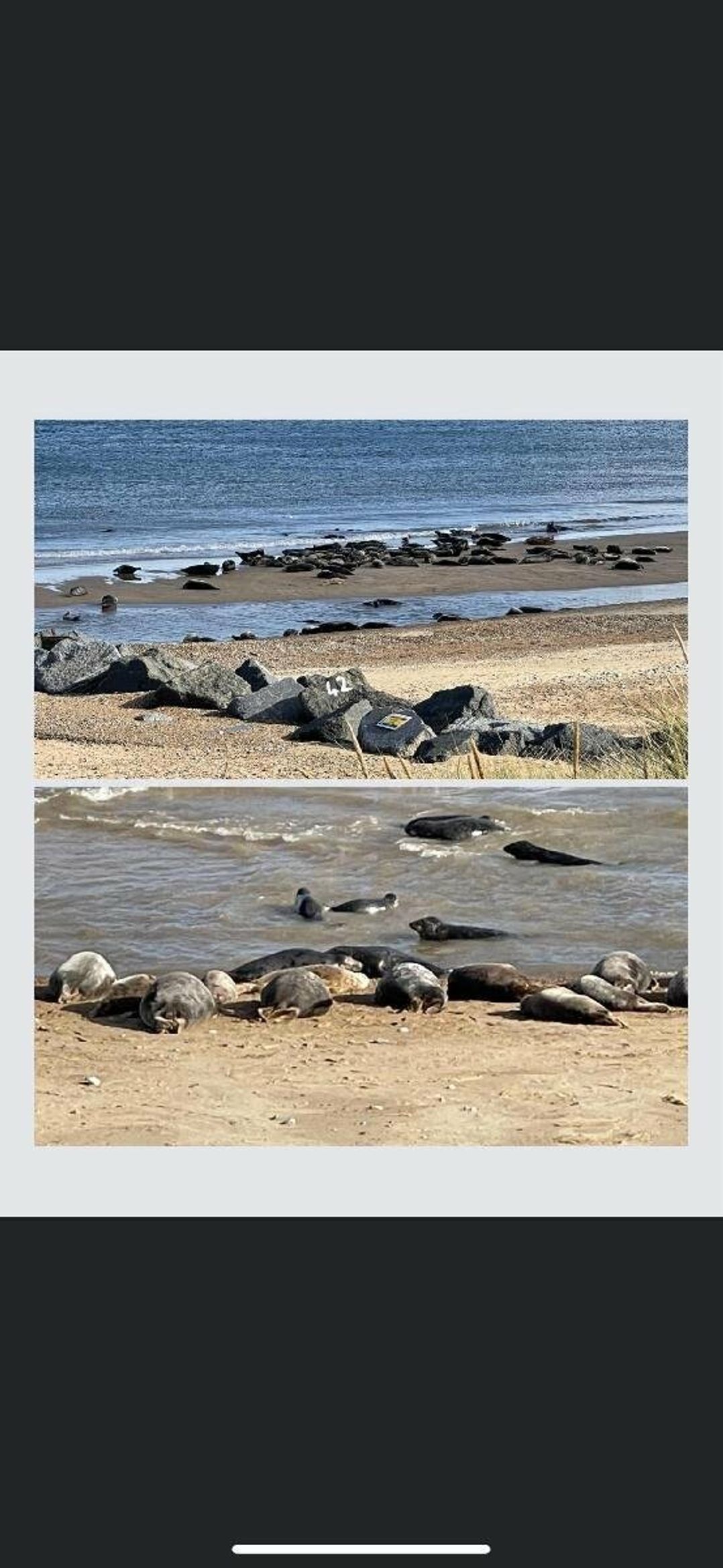 Tingdene North Denes Caravan Park - Holiday Accommodation 16568