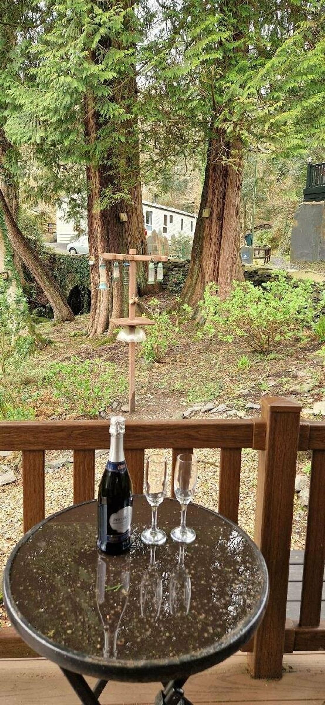 Aberdunant Hall Holiday Park - Holiday Accommodation 19810