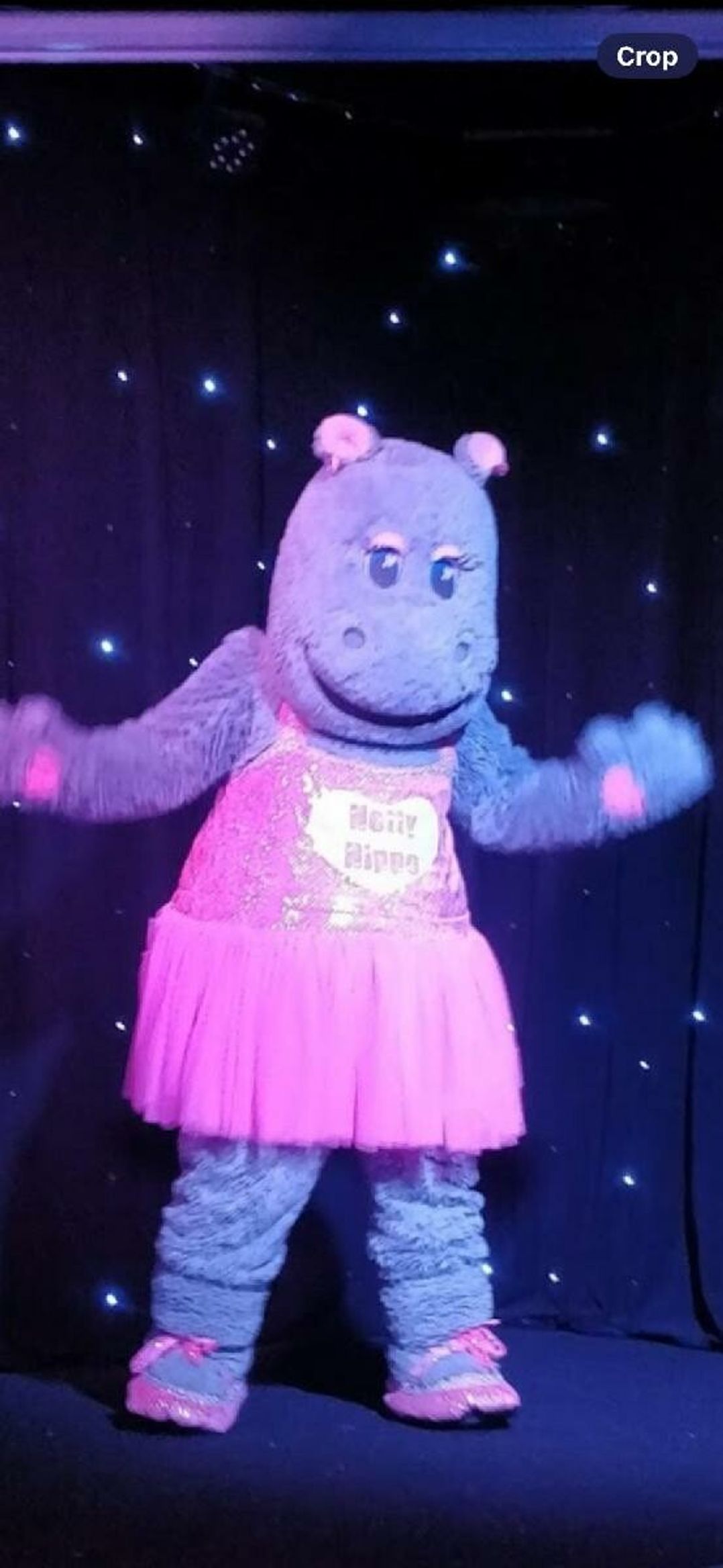 Lyons Robin Hood - Holiday Accommodation 20871