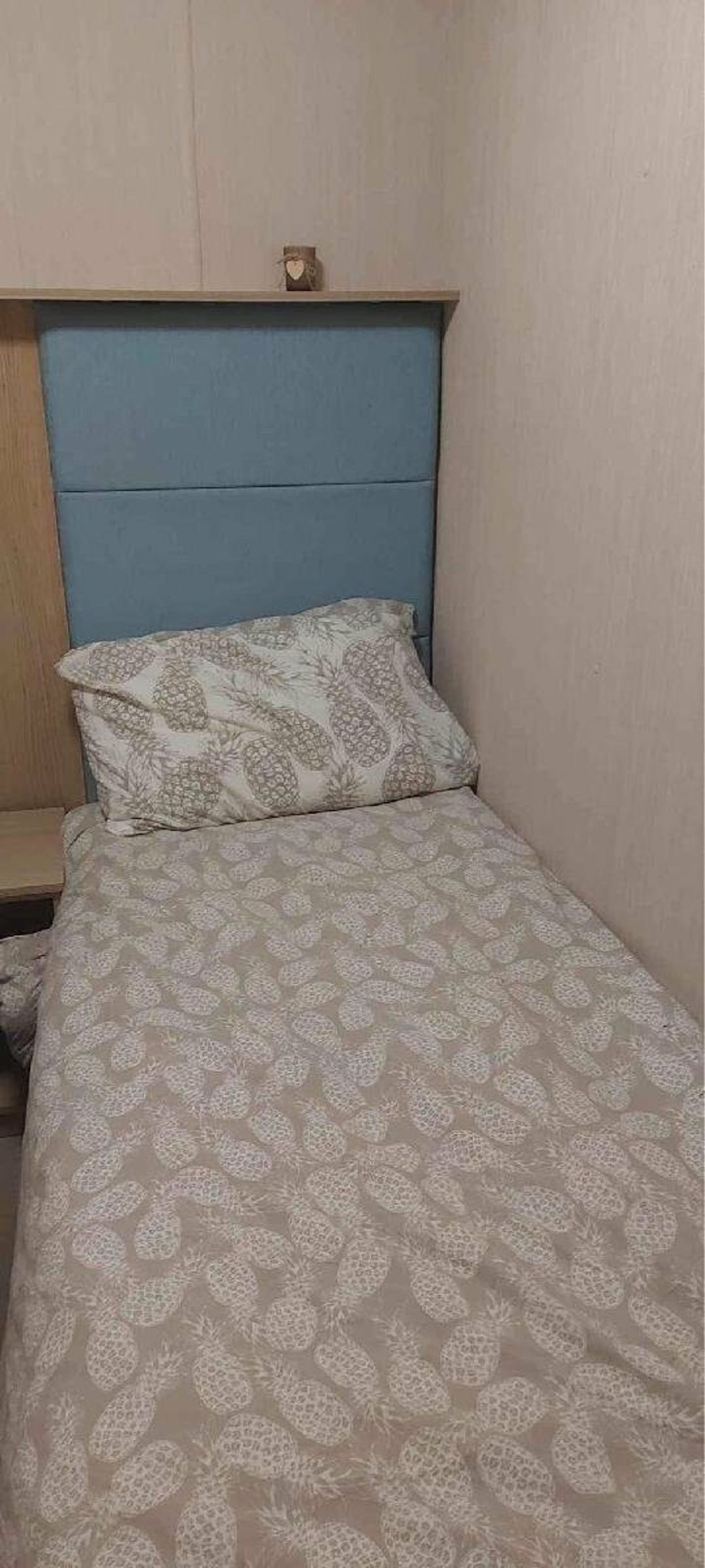 Hafan y Mor Haven - Holiday Accommodation 19011