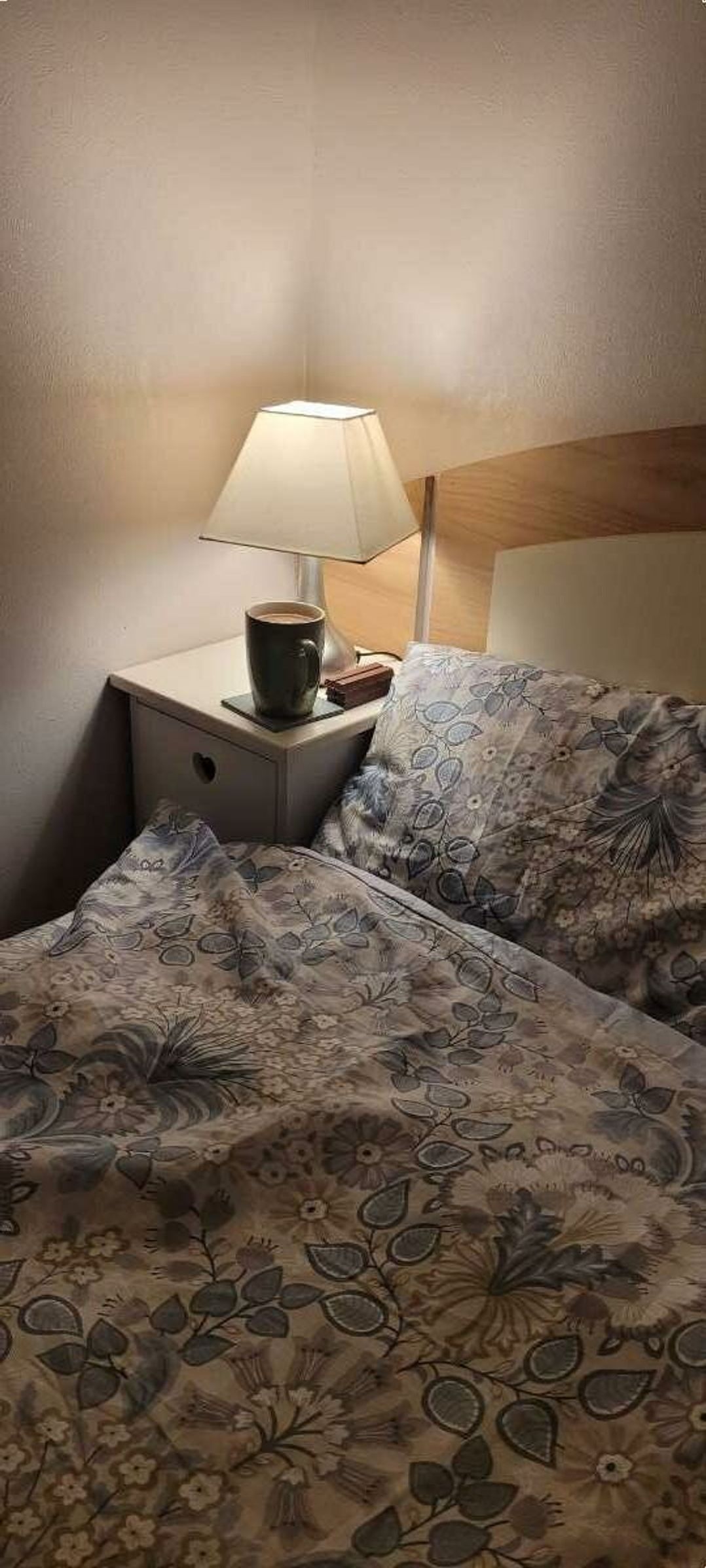 Primrose Valley Holiday Park - Holiday Accommodation 20269