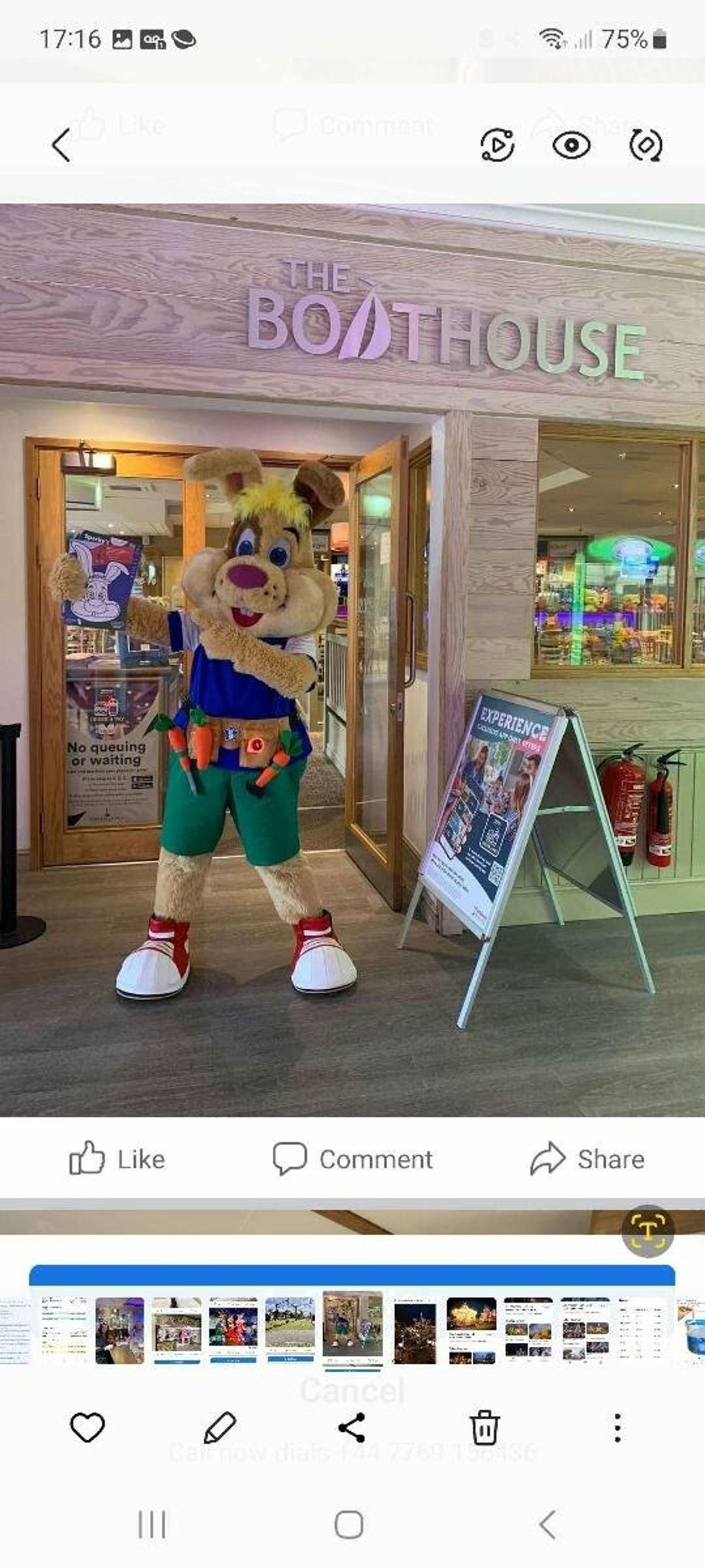 Ty Mawr Holiday Park - Holiday Accommodation 20399