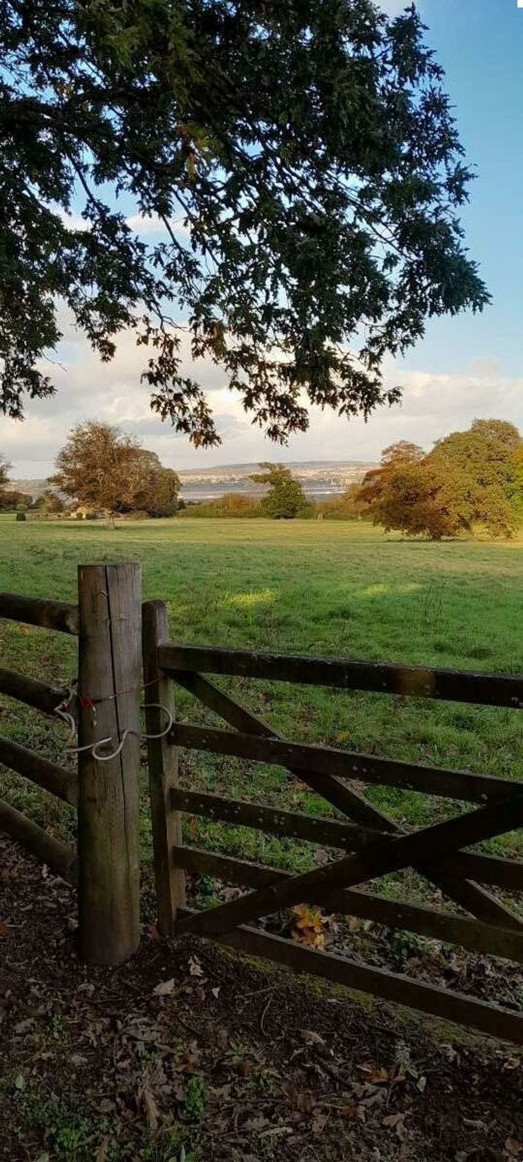 Dawlish Sands Holiday Park - Holiday Accommodation 21141