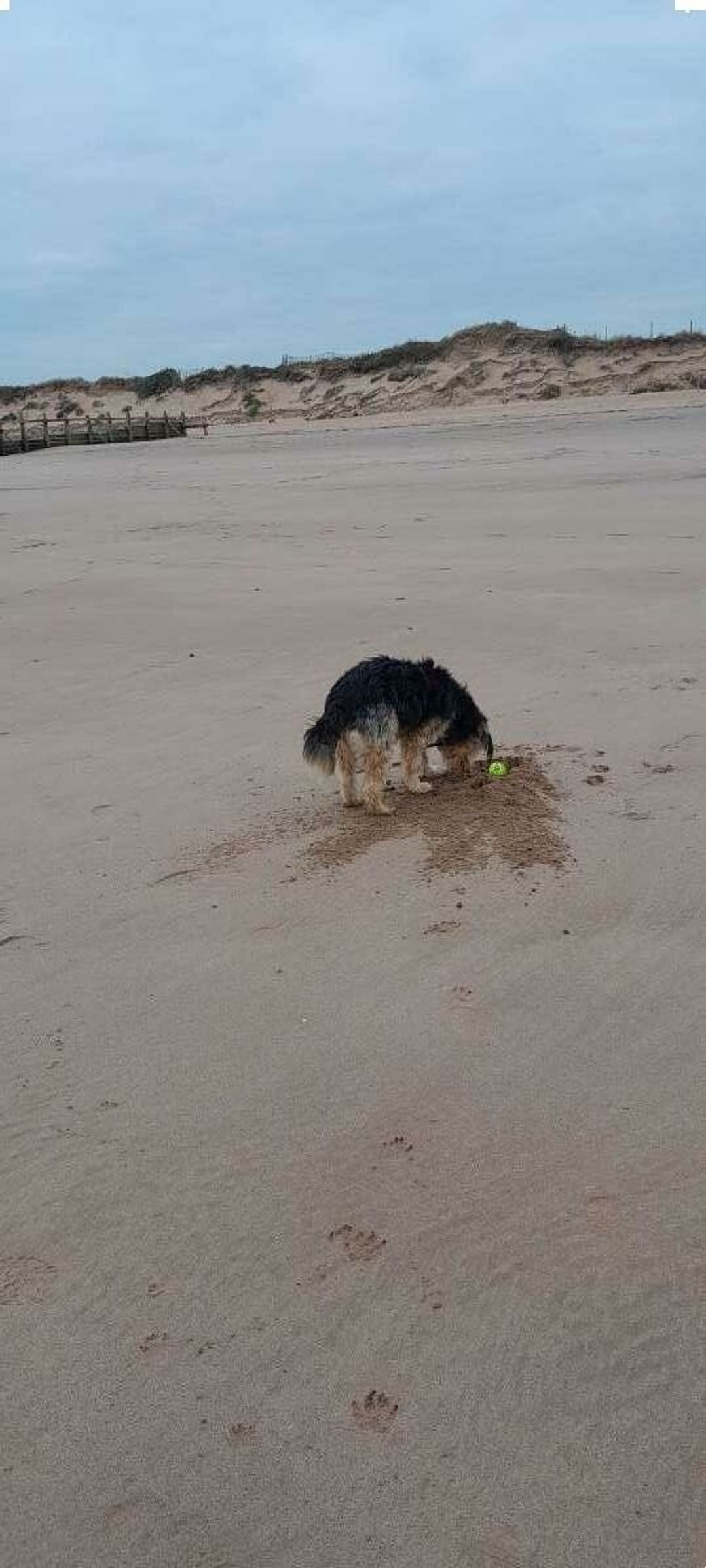 Dawlish Sands Holiday Park - Holiday Accommodation 21141