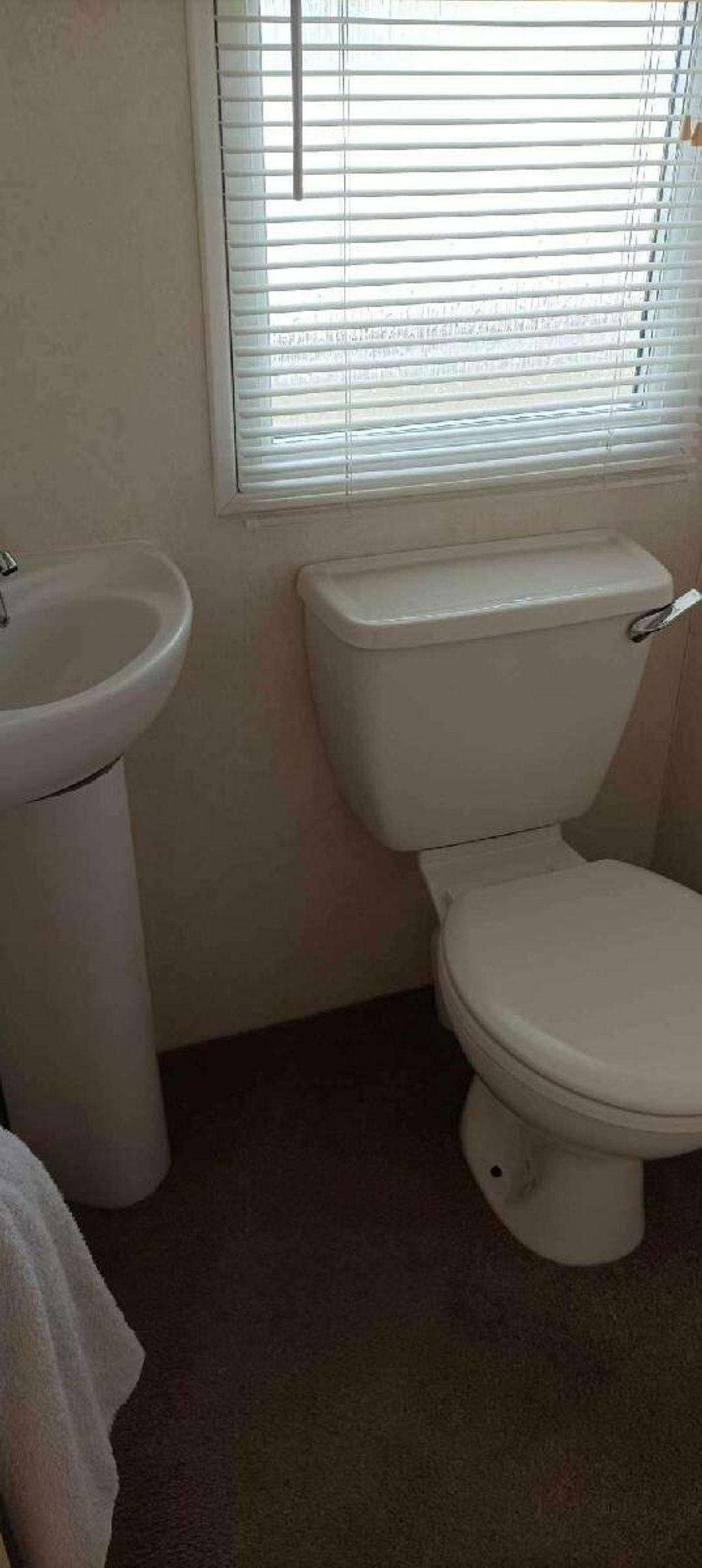 Walshs Holiday Park - Holiday Accommodation 19935