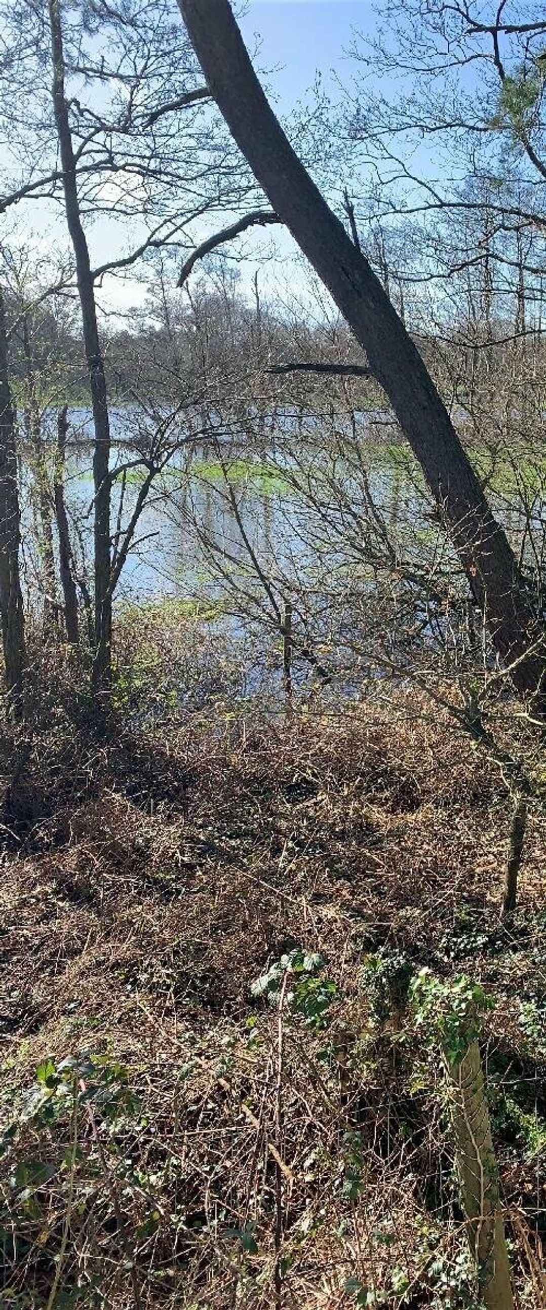 Oakdene Forest Park - Holiday Accommodation 6437