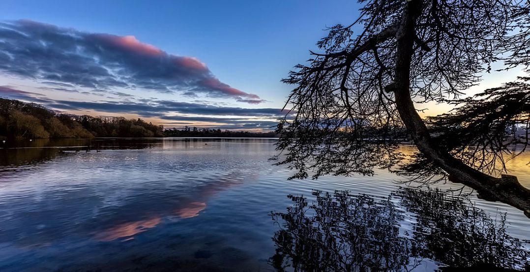 Central Ellesmere - Stay 2 - Parking - PetFriendly