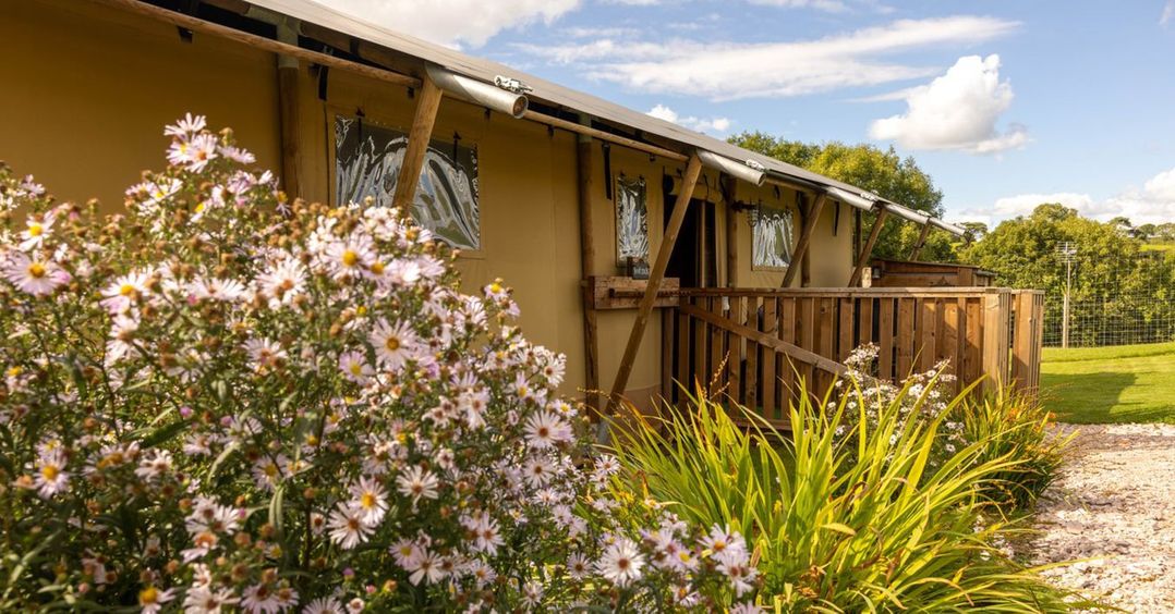 Luxury Safari Lodge Sleeps 4/6 Deer Park Dogs Ok