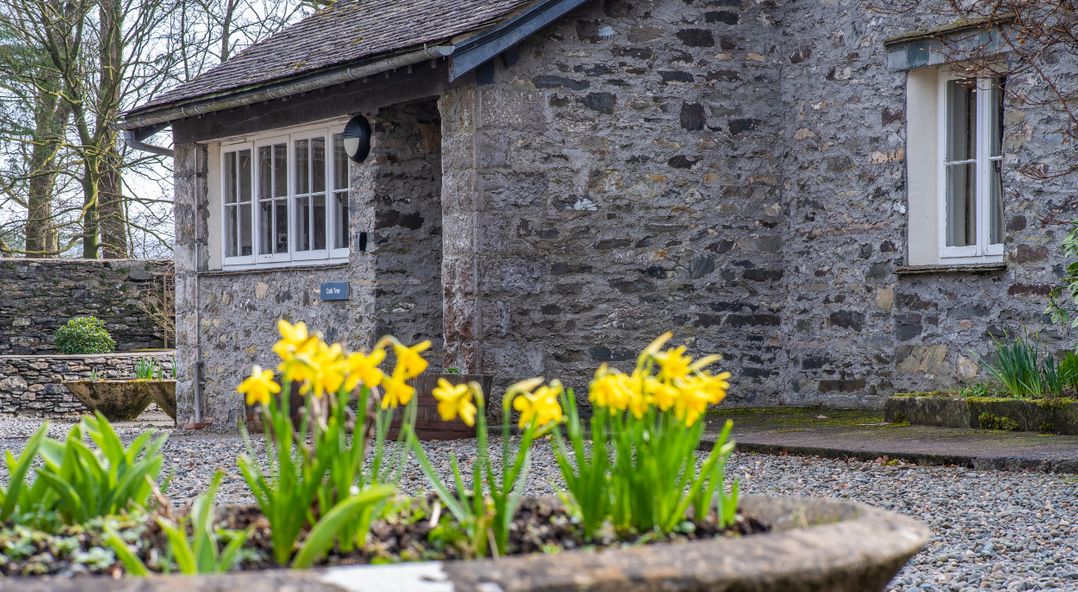 Crabtree at the Graythwaite Estate