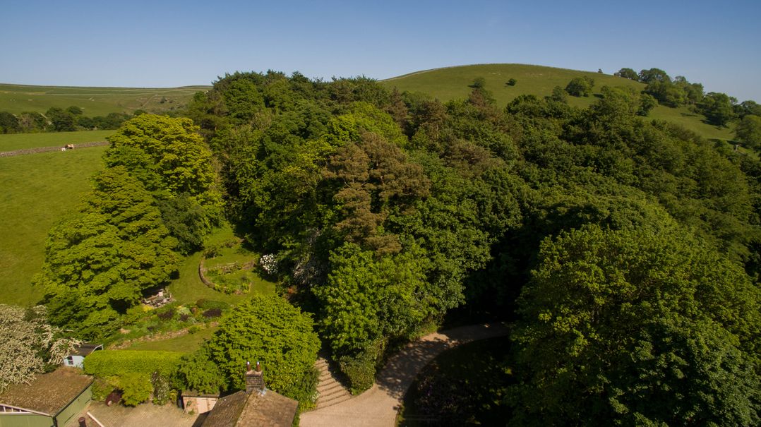 The Lodge