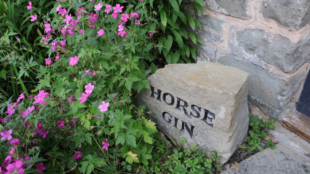 A stone with the text Horse Gin surrounded by flowers at Horse Gin in Parkend