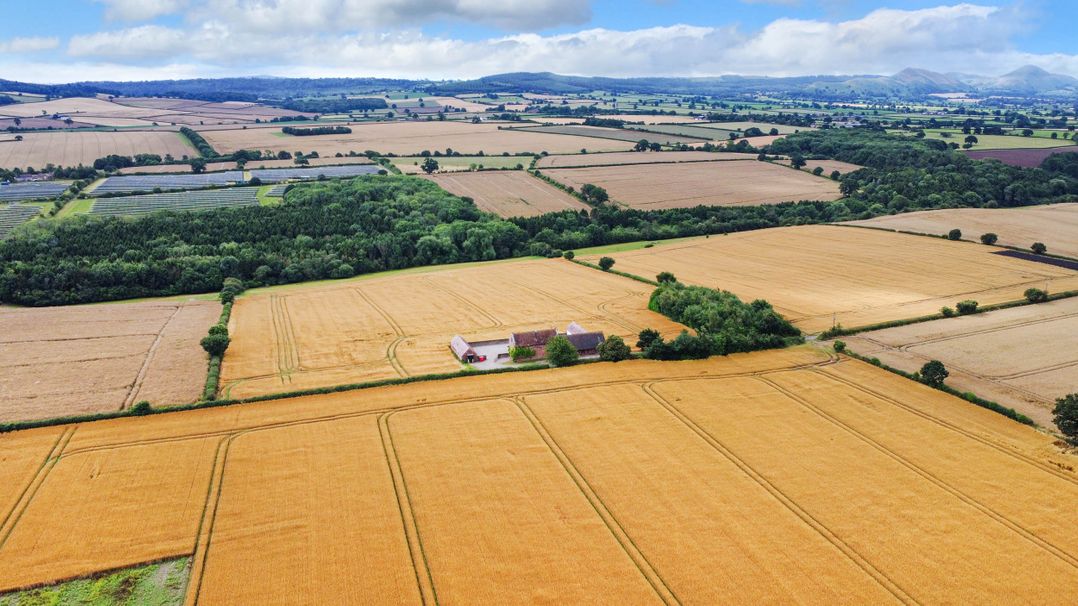 Windy Mundy Farm