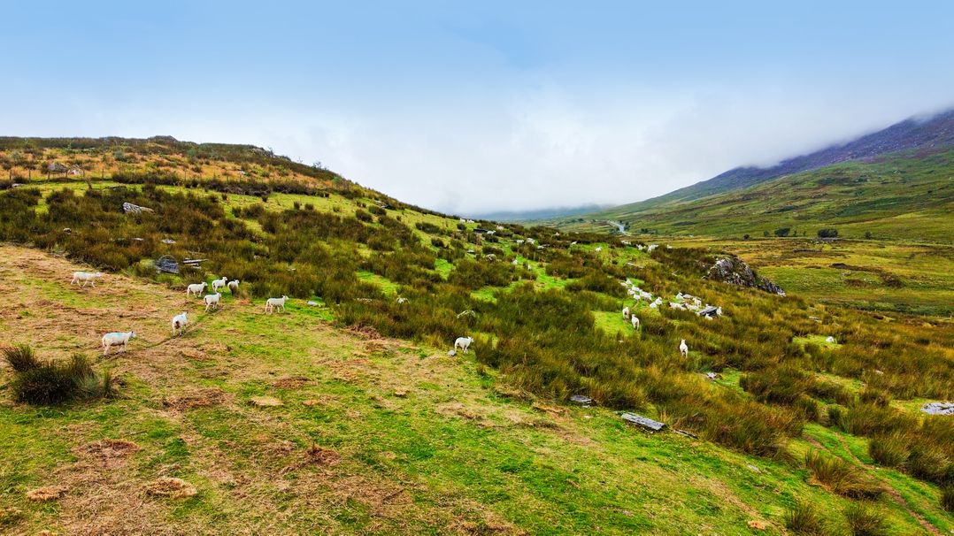 Cwm