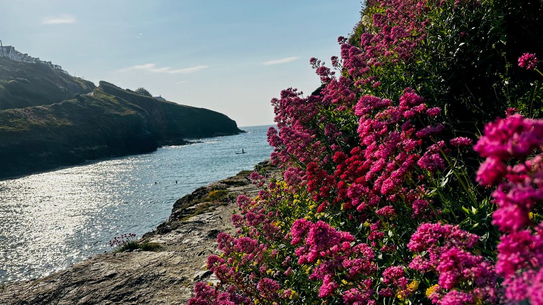 1 Tintagel