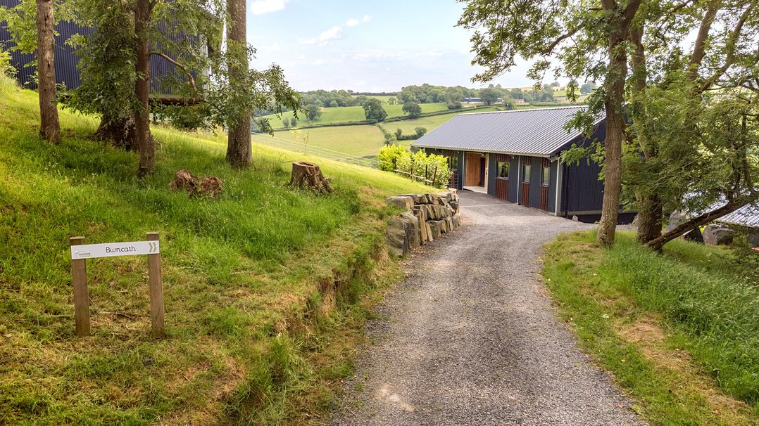 A gravel path leading to a house with trees on the side at Bwncath in Garthmyl