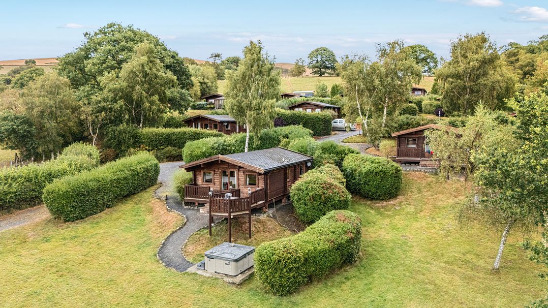 Great Owl Lodge