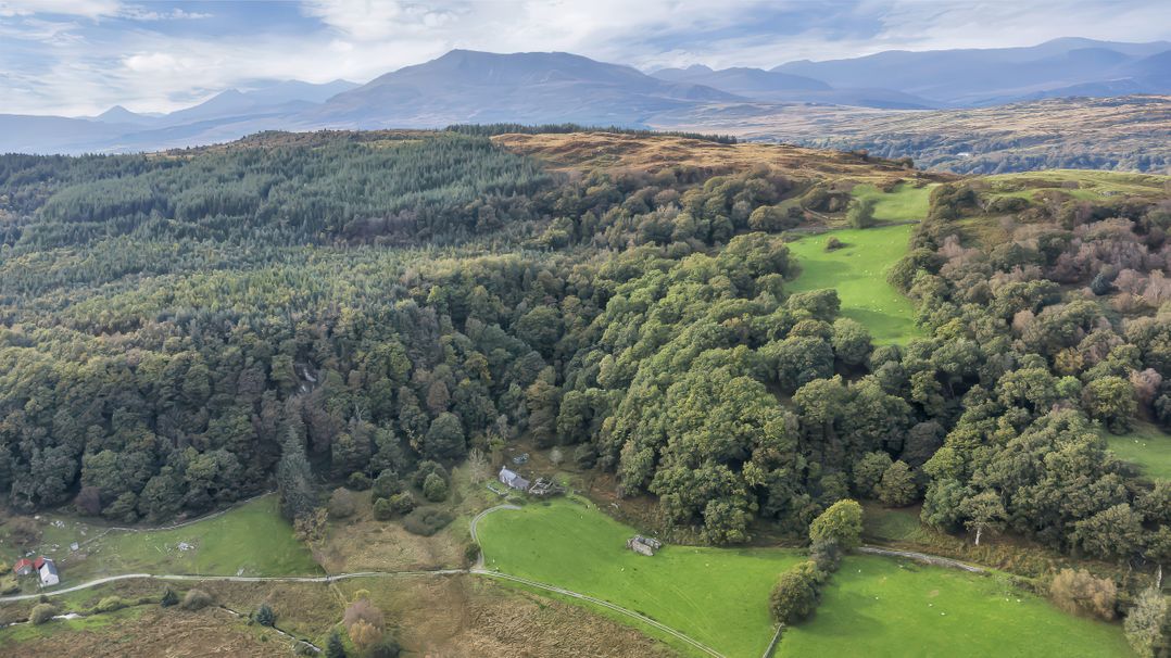 Tan Y Clogwyn