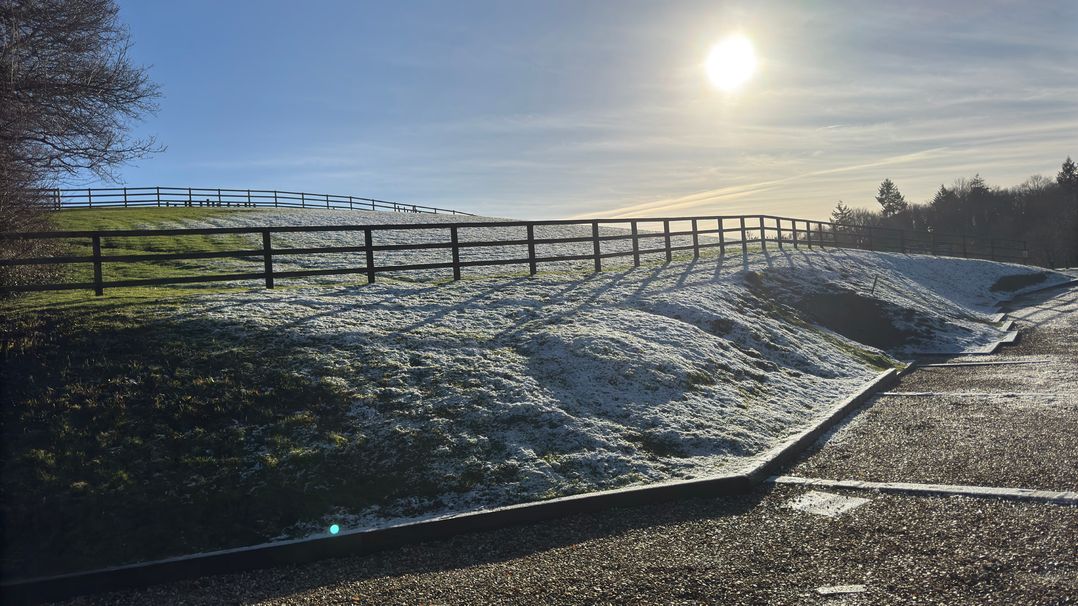 Woodland View 31 - The Hawthorns