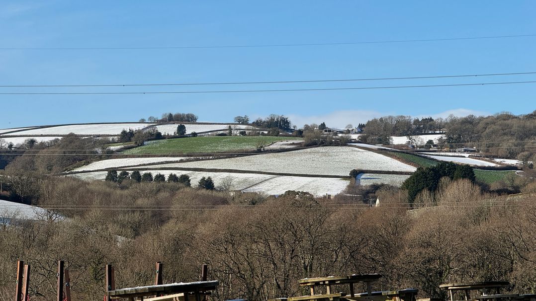 Woodland View 31 - The Hawthorns