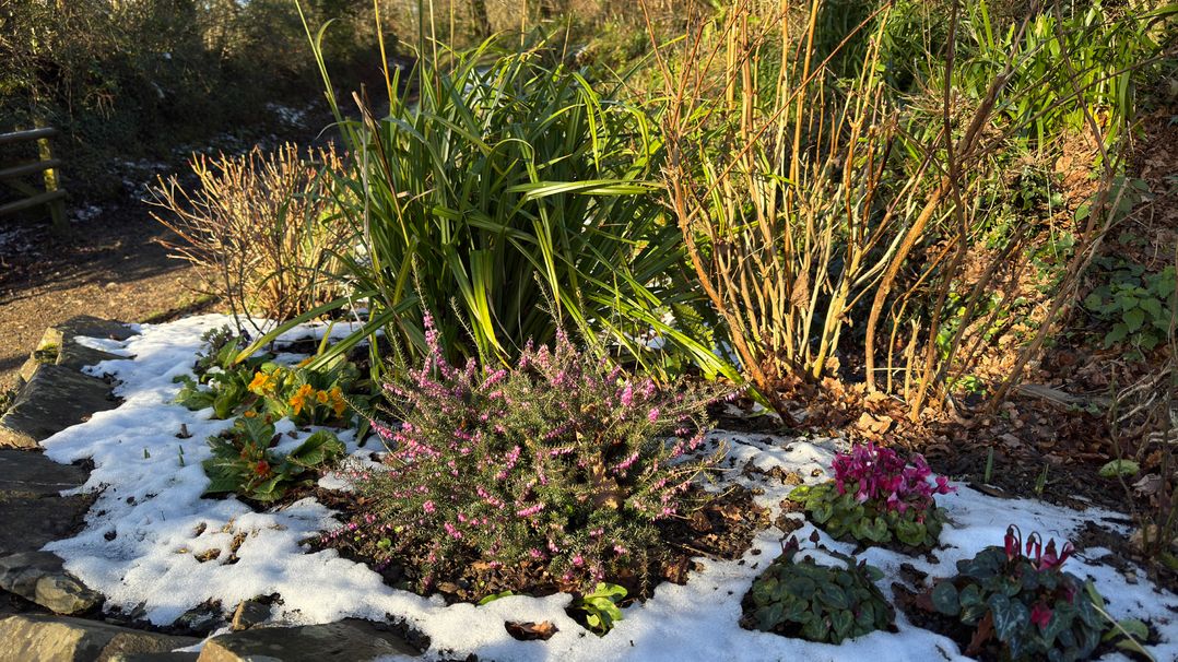 Woodland View 31 - The Hawthorns