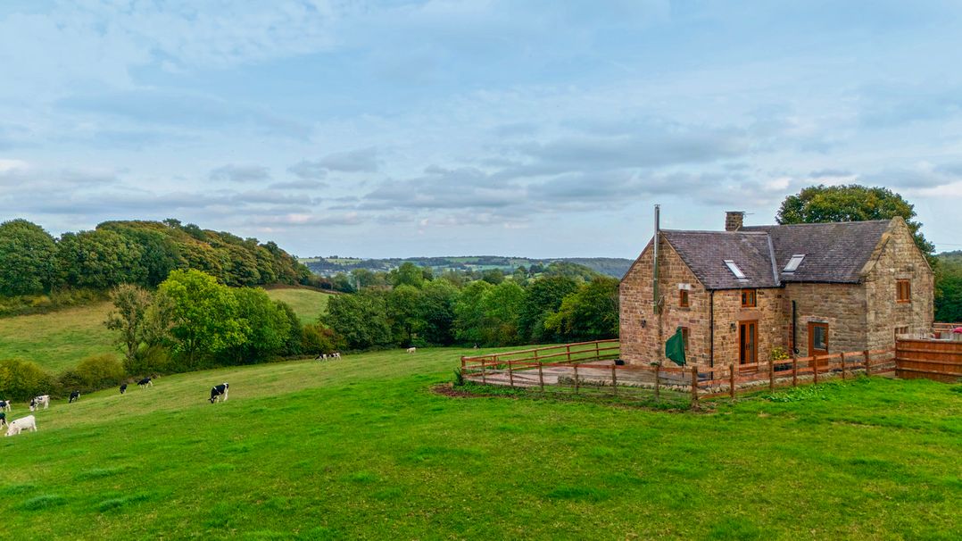 A house with cows grazing in a field at Lane Head Cottage in Alderwasley near Wirksworth
