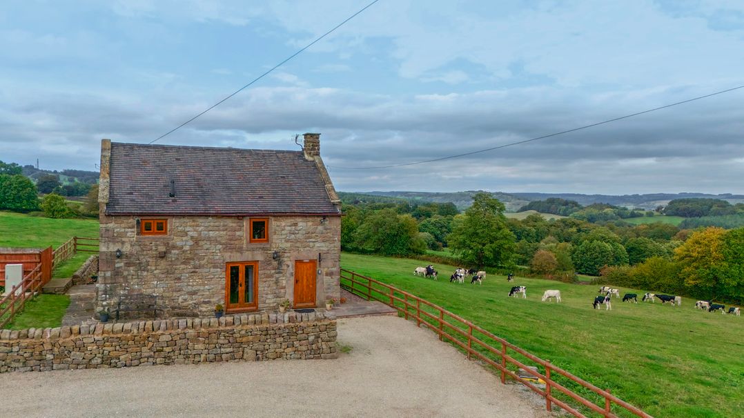A stone house with cows in a field at Lane Head Cottage near Alderwasley