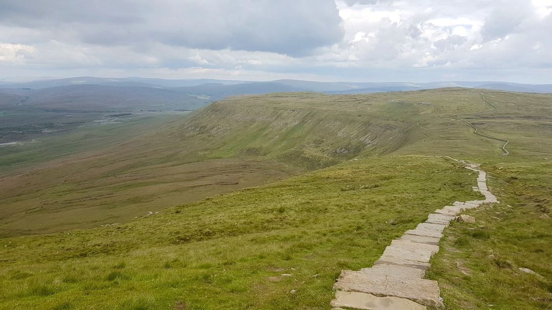 High View Meadows