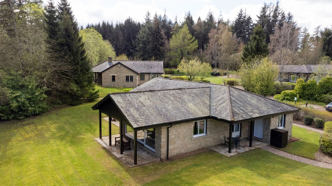 The Allensford (Pet)