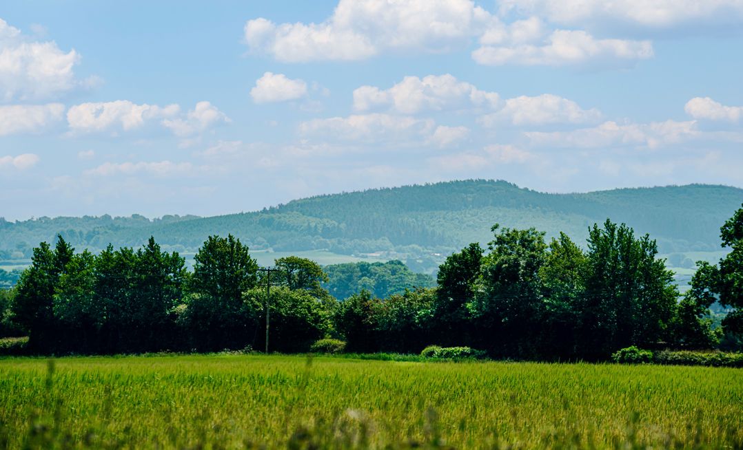 The Coach House Barn