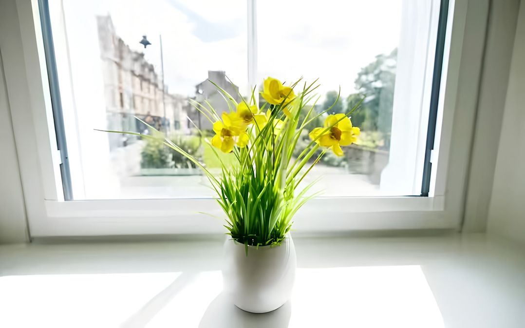 Robert the Bruce Apartment