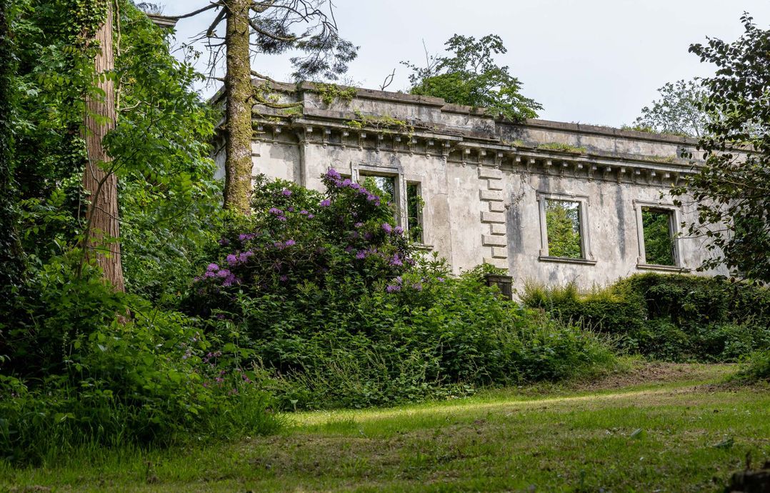 The Garden Cottage
