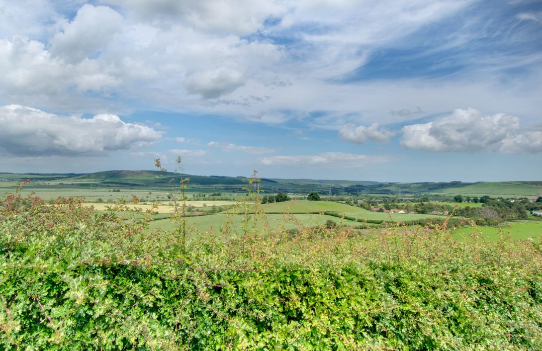 Braeside