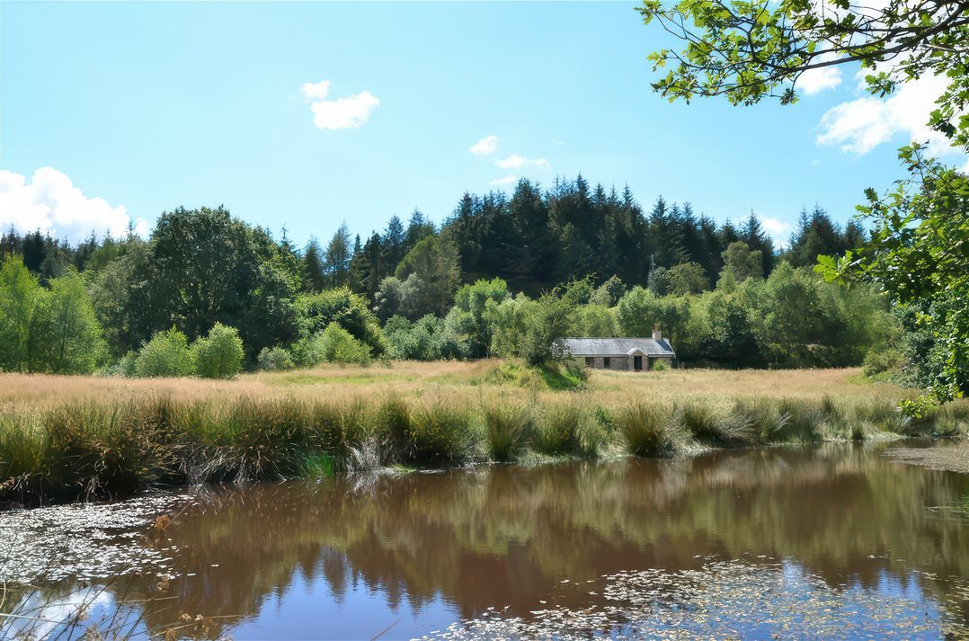 Cae'n Y Coed Barn