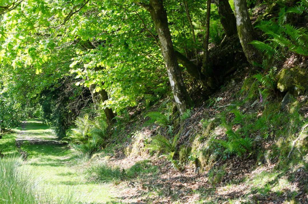Oakbank