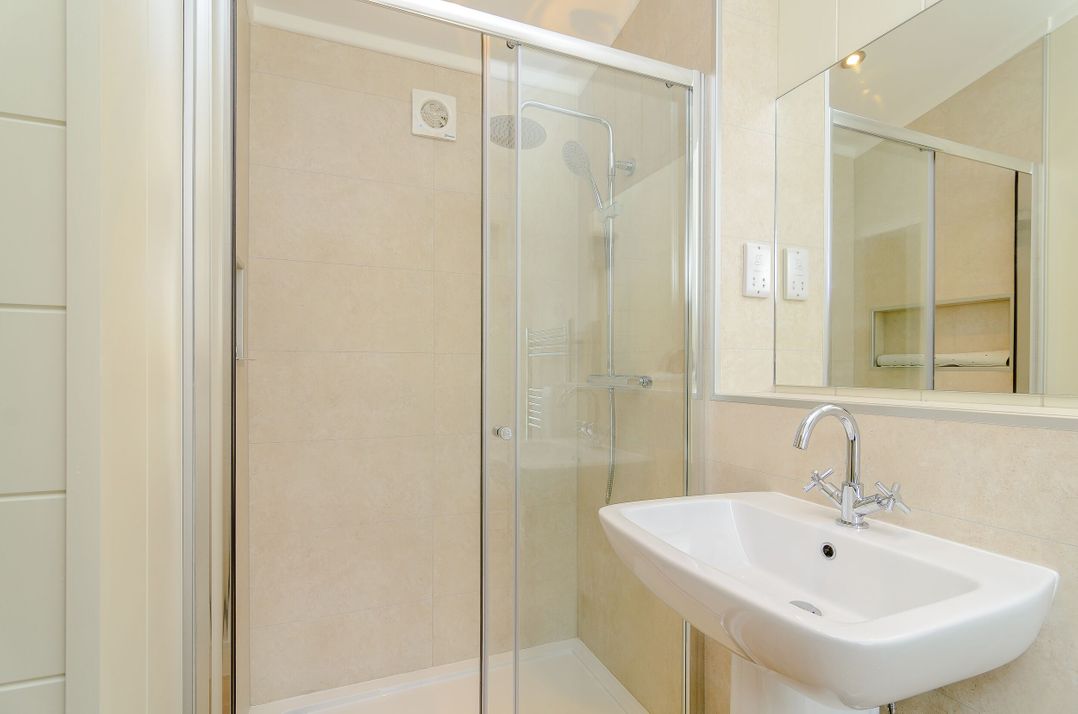 The Chesterton (Pet)