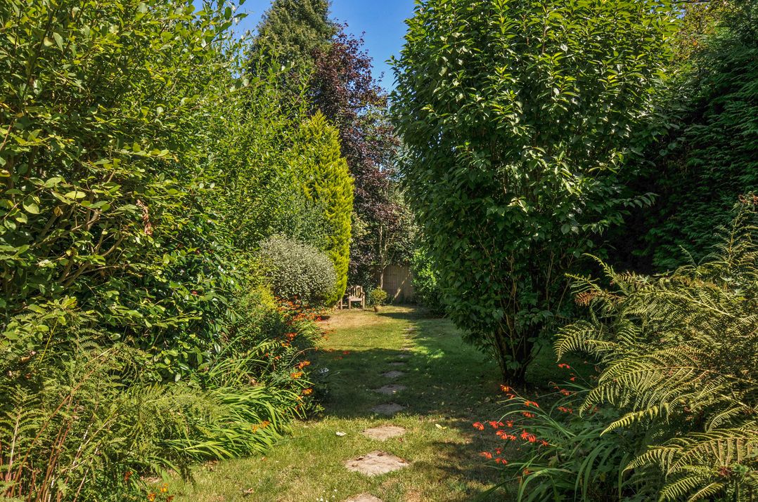 A pathway through greenery with a bench in the garden at The Mews in Blisland