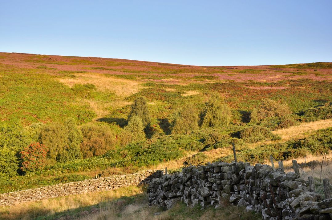 Sheep Cote Shepherds Hut