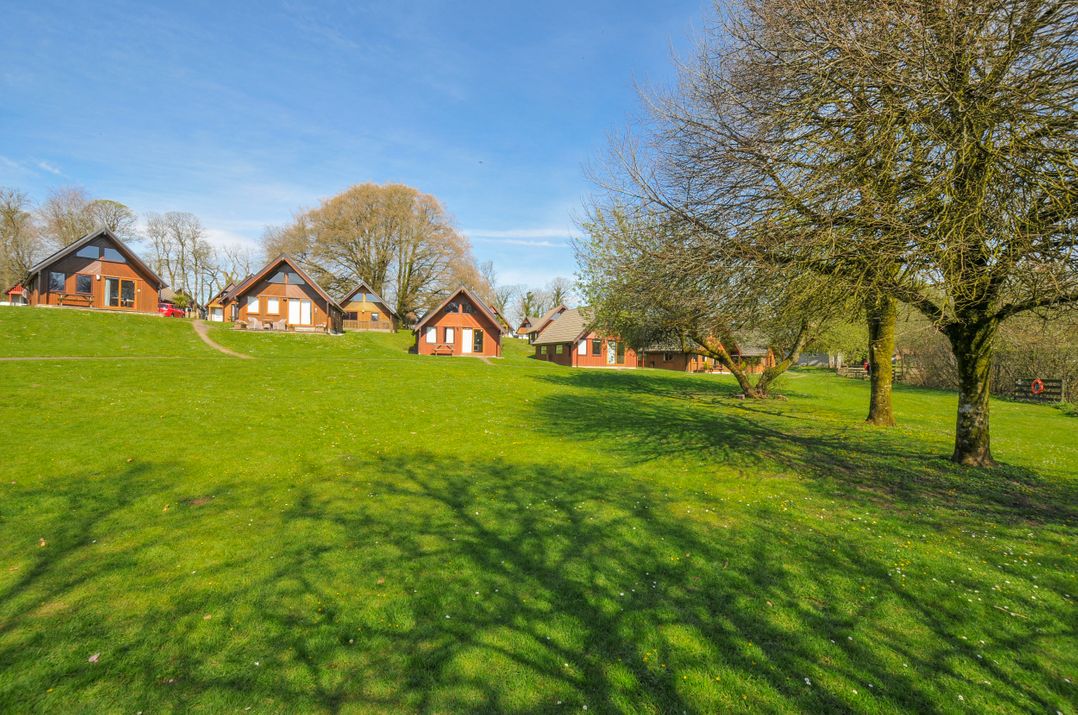 Cornish Woodland Retreat