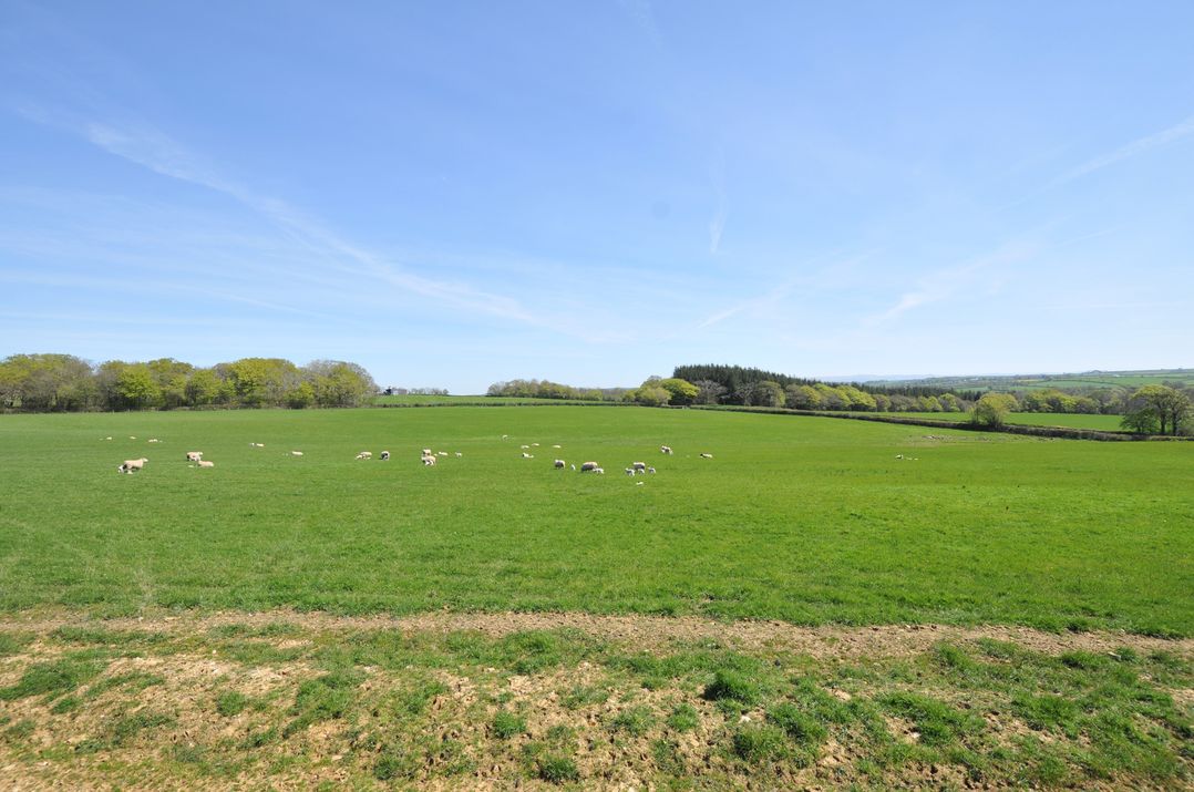 Little Blagdon