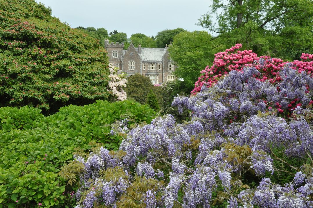 Lukesland Wing