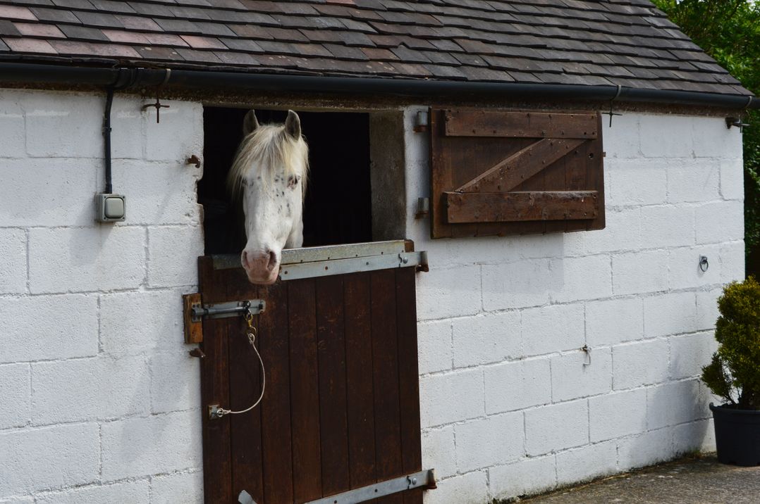 Curlew Barn