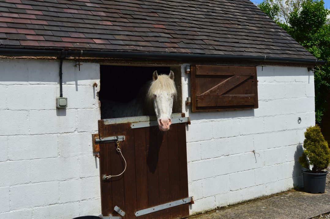 Bottomhouse Barn