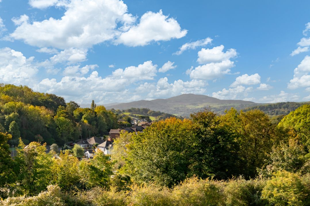 Coed y Felin